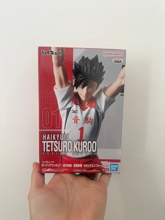 Tetsuro Kuroo